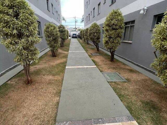  em  - 