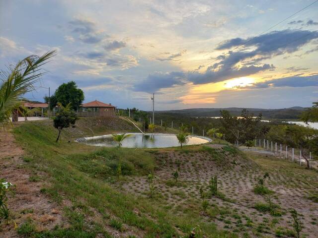 #EV0031 - Chácara para Venda em Abadia dos Dourados - MG - 2