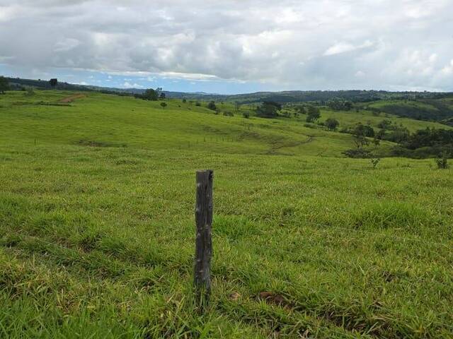 #EV0032 - Chácara para Venda em Estrela do Sul - MG - 1