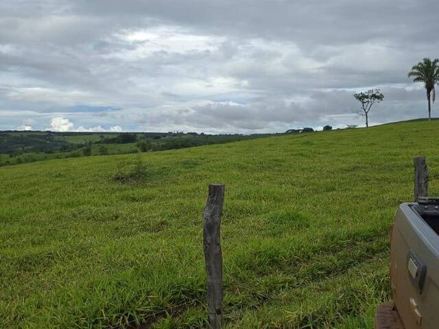 #EV0032 - Chácara para Venda em Estrela do Sul - MG - 2