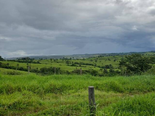 #EV0032 - Chácara para Venda em Estrela do Sul - MG - 3