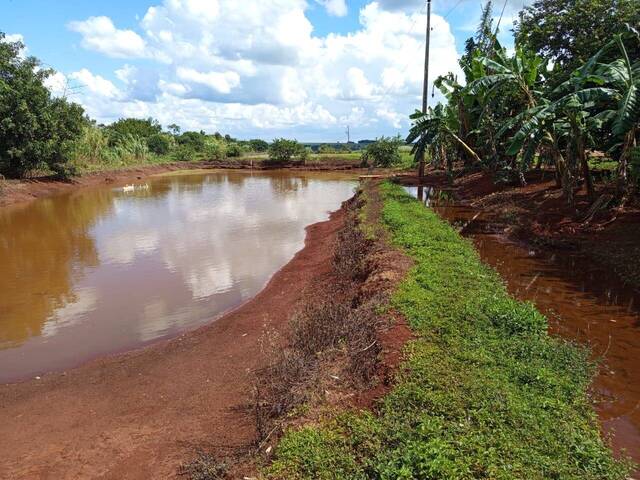#EV0041 - Chácara para Venda em Araguari - MG - 3